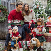 Chandail de maille rouge et vert à motifs des fêtes pour animaux||Red and green knit sweater with holiday all-over print for animals